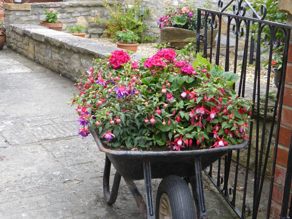Liongate House Bed & Breakfast Ilchester Exterior foto